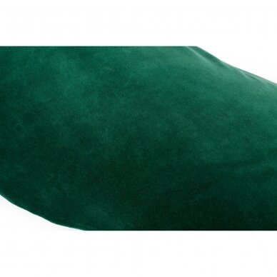 CebaBaby maitinimo pagalvė MULTI, driežas, žalia 2